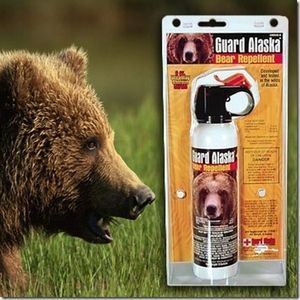 スズメバチを退治しようとした教諭、クマ撃退スプレー使う→児童36人病院搬送