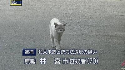【おそロシア】運び屋のネコが捕まる　受刑者に携帯や電池を運ぶ