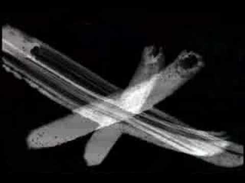 cymbals - RALLY - YouTube