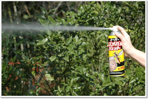 スズメバチを退治しようとした教諭、クマ撃退スプレー使う→児童36人病院搬送