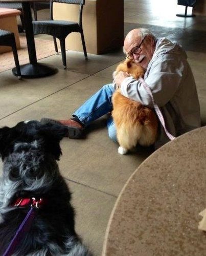 かわいさに癒されたいときに！キューンとなる動物たちの写真23枚