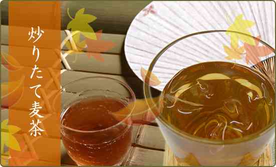 麦茶は地味にすごい健康飲料　生活習慣病の予防効果も期待可