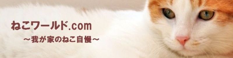 ねこの不思議１：ねこワールド.com
