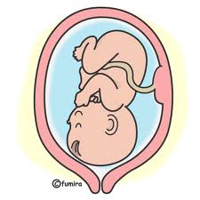妊婦、お腹の中の胎児を盗まれる