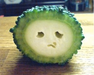 【Twitter】ポンデライオンそっくりなゴーヤが可愛すぎると話題に