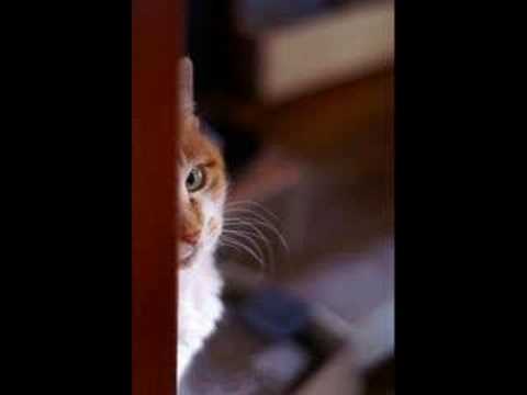 太陽にほえろ - YouTube