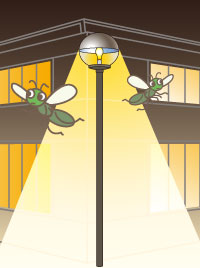 【閲覧注意】このローソンがヤバい…