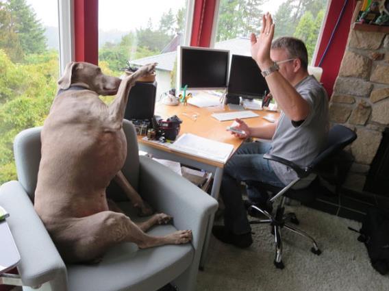 ペットは飼い主に似る?飼い主と同じポーズをとるワンコたちww