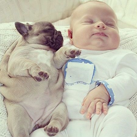 赤ちゃんと子犬の“4兄弟”が仲良しすぎてたまらん！