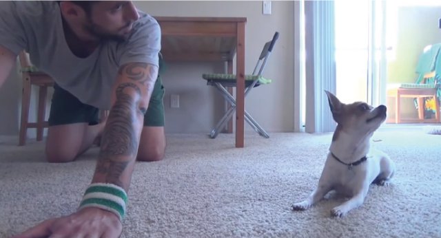 ペットは飼い主に似る?飼い主と同じポーズをとるワンコたちww