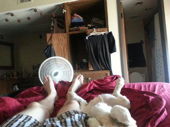 ペットは飼い主に似る?飼い主と同じポーズをとるワンコたちww