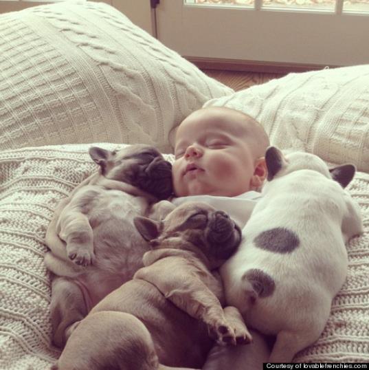 みーんなギューッと抱きしめたくなっちゃう!!　ワンコと赤ちゃんのおねむ写真