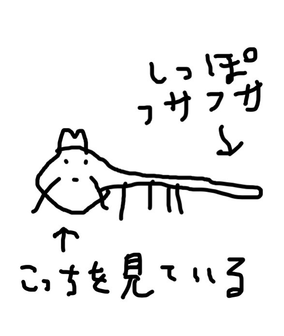 田辺誠一さんが描いたタヌキをご覧ください