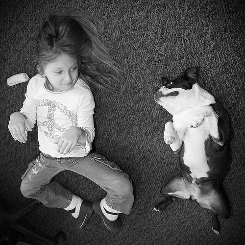 ペットは飼い主に似る?飼い主と同じポーズをとるワンコたちww