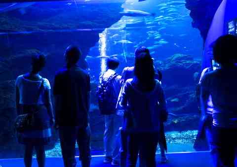 【注意喚起】水族館では下着が透けてしまうらしい！