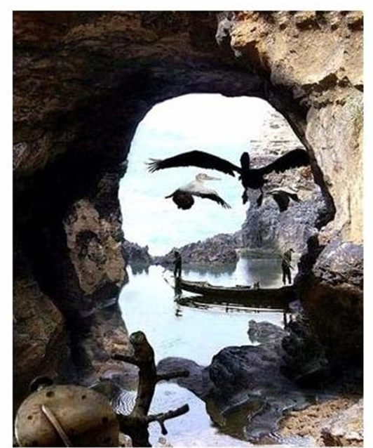 一瞬ビックリする画像