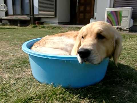 夏が嫌いな理由ランキング