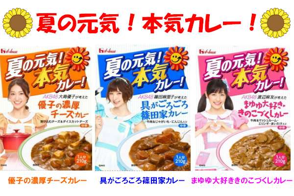 好きなカレーのルーは？