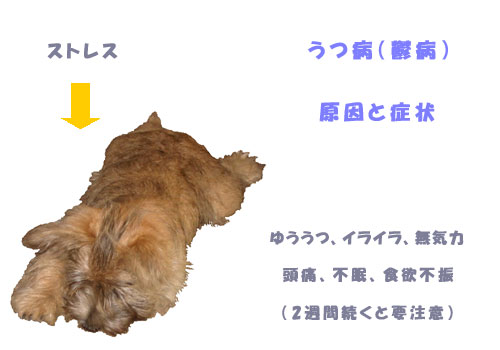 犬は孤独に耐えられない! 留守番させられると「うつ気味」になるらしい