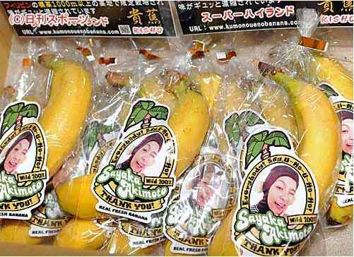 秋元才加がAKB48卒業セレモニーで見せたゴリラ衣装と差し入れバナナの深い理由が泣ける件
