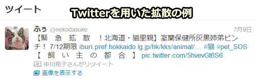 中川翔子、Twitterで動物の里親探しにイチャモン付けられ反論