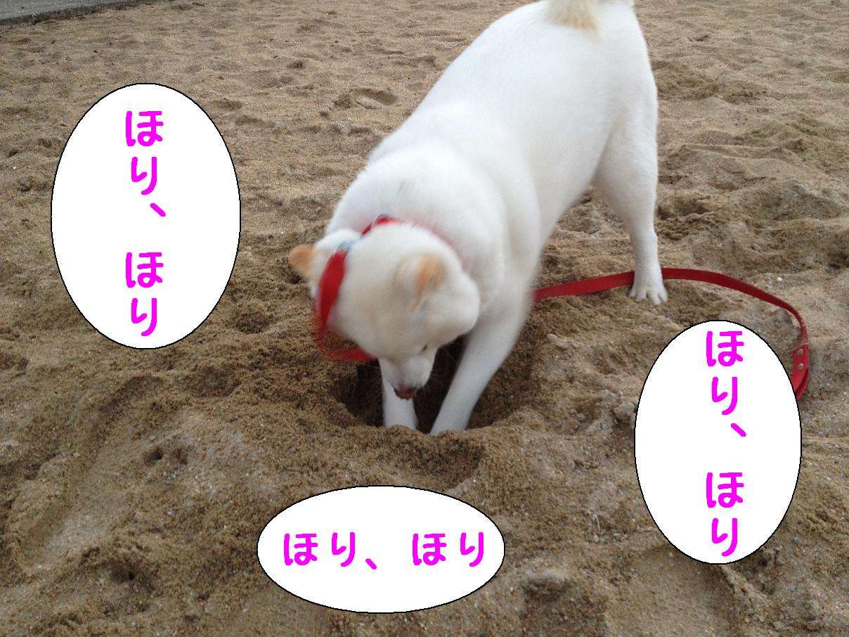 動物と会話できたら聞いてみたいこと
