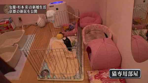 杉本彩の着物姿が美しい…この人はいつまでたっても劣化しないな