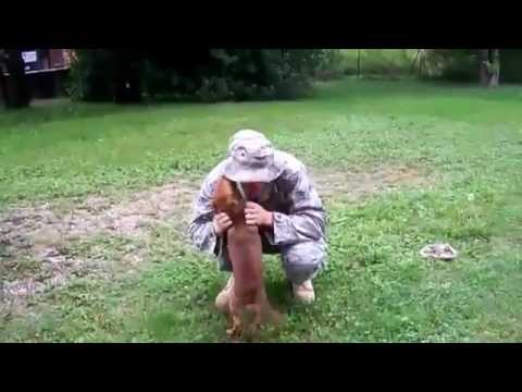 Soldier Dog Reunion Part 1 - YouTube