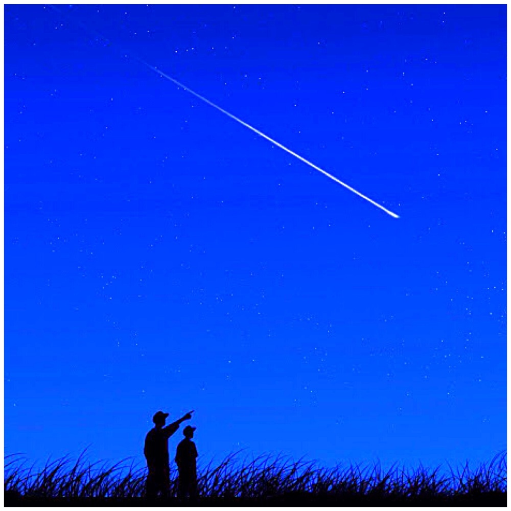 【流星群】星に願いを！