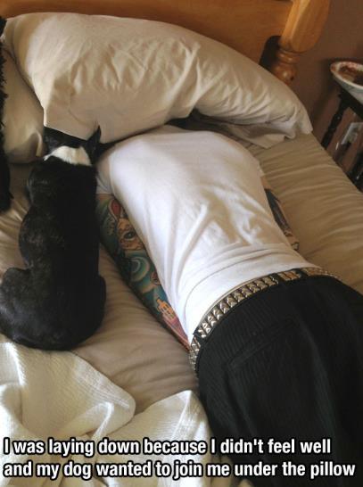 ペットは飼い主に似る?飼い主と同じポーズをとるワンコたちww