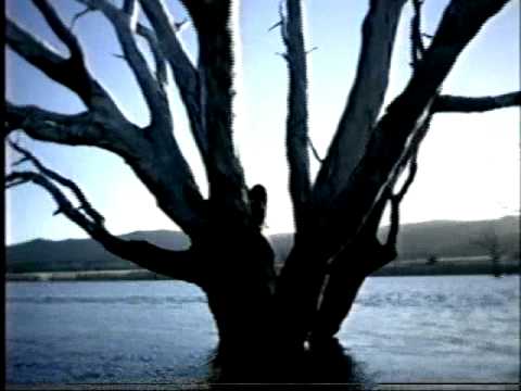 MISIA - 眠れぬ夜は君のせい - YouTube