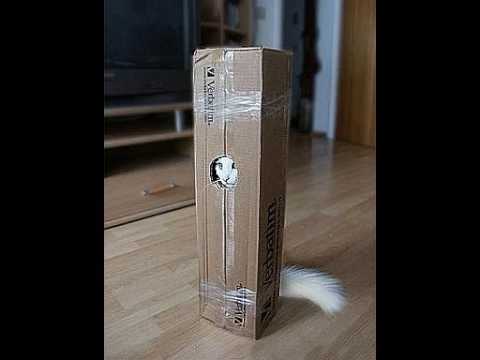 太陽にほえろ 2 - YouTube
