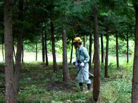 刈払機　草刈機　キックバック実演 - YouTube