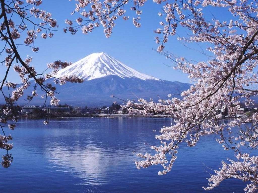 行ってみたい県とその観光スポットは?