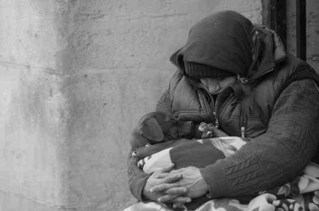 ペットは飼い主に似る?飼い主と同じポーズをとるワンコたちww