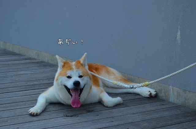 今年の猛暑で得した「意外な」業界、ビジネスとは？