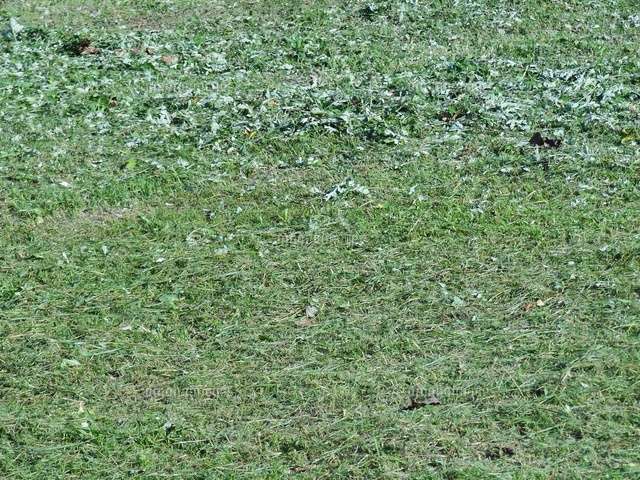 父親が自宅で庭の草刈中に草刈機の刃が長女の首に当たる　3歳女児死亡