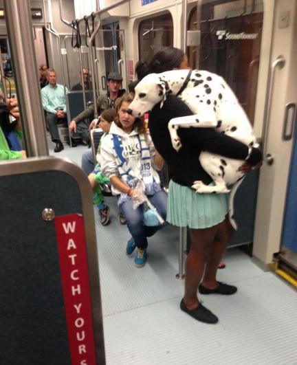 ペットは飼い主に似る?飼い主と同じポーズをとるワンコたちww