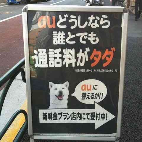 auの広告が喧嘩売りすぎだと話題に
