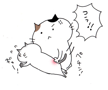 【閲覧注意】おかしなマンガ発見! 「俺は家ではパンツをはく事を許されていない」