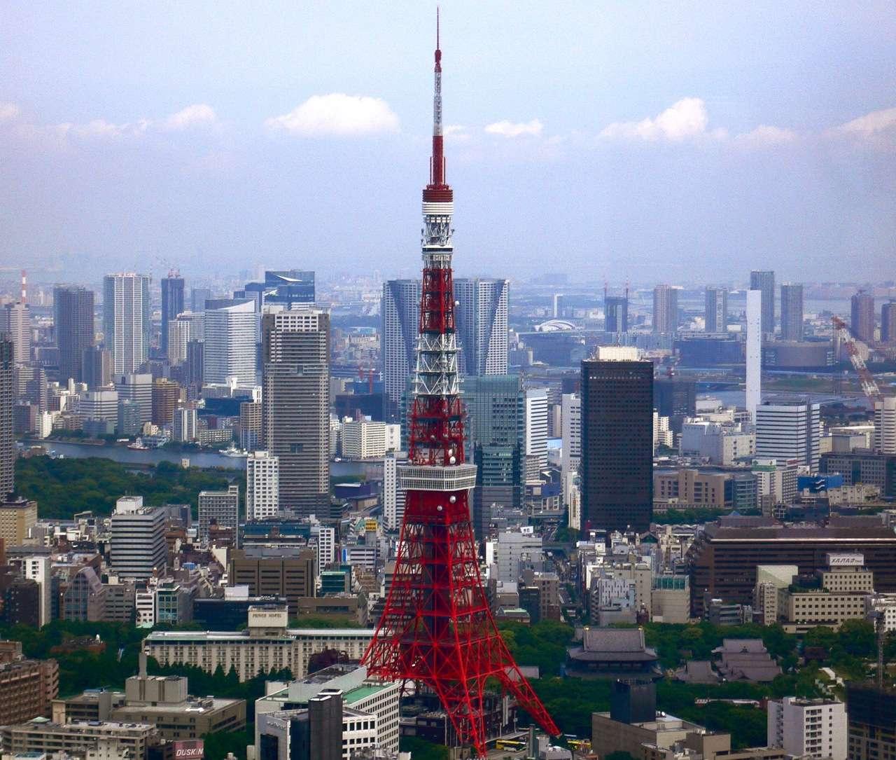 田舎と東京23区に暮らしてみて、どちらが住みやすかったですか？