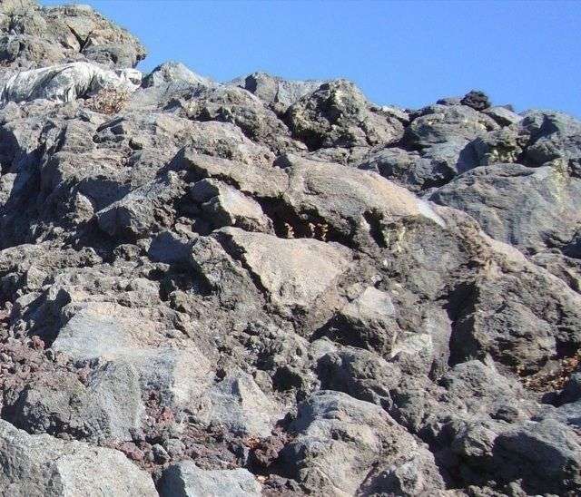 あなたのお気に入りの画像貼ってください！