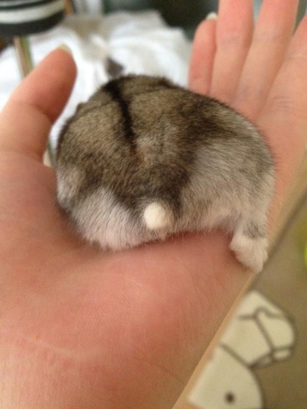 あなたのお気に入りの画像貼ってください！