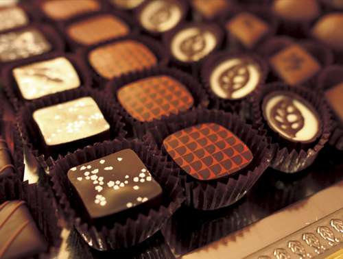 人間はなぜこんなもの作ったんだ！