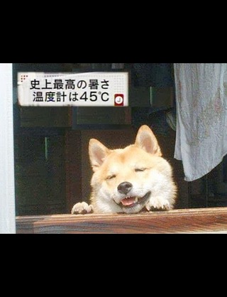 あなたのお気に入りの画像貼ってください！