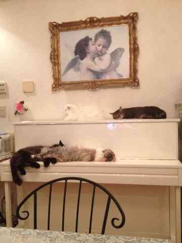 はるかぜちゃんこと子役タレントの春名風花が「ブログ開始！」ツイッターは…