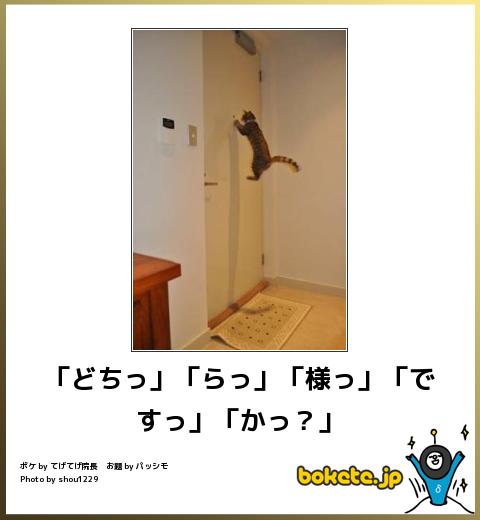 一家に一匹欲しくなる…けなげに働くペットたち！