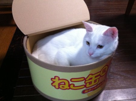 好きな缶詰