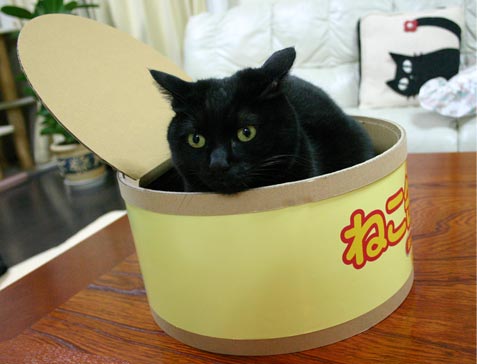 好きな缶詰