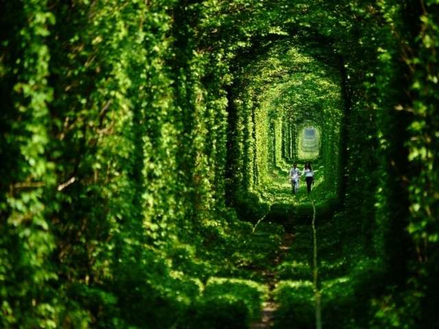 旅に行きたくなる画像